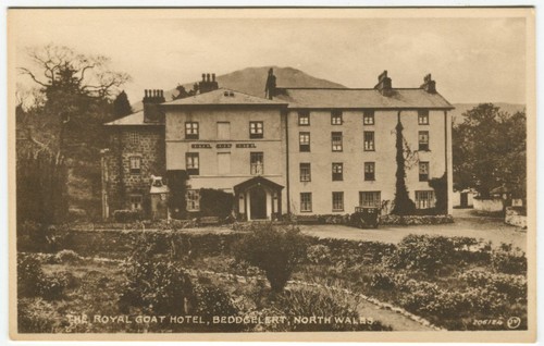 The royal goat hotel - royal,