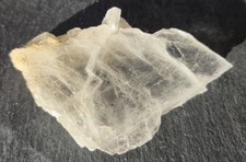 Marienglas, Selenit, Gips, Osterrode, bei Göttingen, Harz, Niedersachsen!!!!