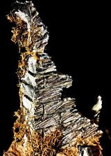 Diorama - Ruine - Fantasy - Maßstab 1:12 - Custom Unikat****