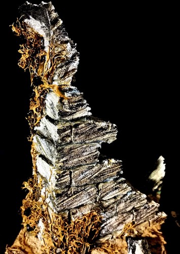 Diorama ruine fantasy - fantasy,