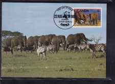 Uganda 361 MAXI CARD ELEFANT ELEPHANT WILD LIFE AFRICA KARTE EAST AFRICA