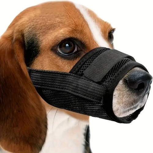 Hundemaulkorb für mittlere