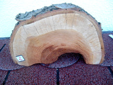 Baumscheibe Astscheibe