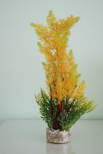 Aquarium wild bergpflanze gelb - wild,