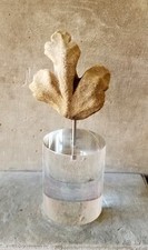 Fragment I - Kleines gotisches