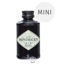 Hendrick‘s Gin Mini / 44 %