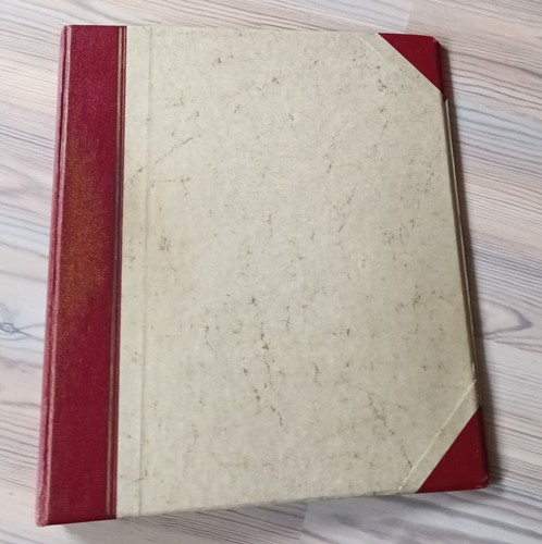 Gebrauchter safe ringbinder - safe,