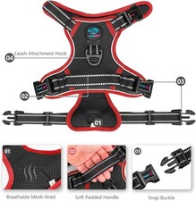 PHOEPET Verstellbares