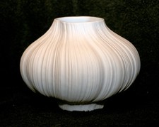 wunderschöne weiße