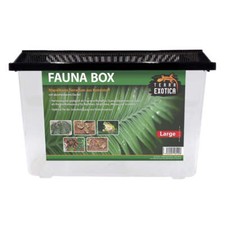 Terra Exotica Fauna Box Large