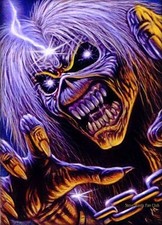 Iron Maiden 2 Tickets,  Sitzplätze ,Eingang süd, Block s10,reihe17 ,Platz 31,32