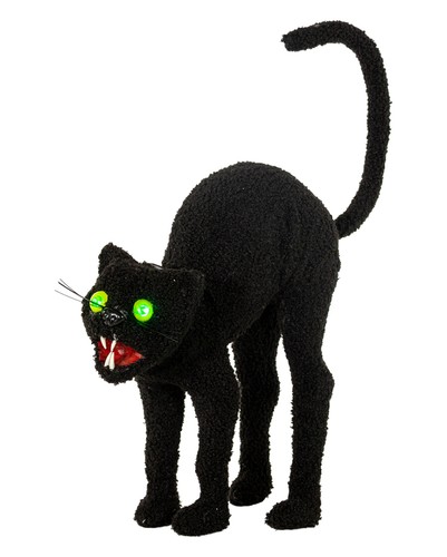 Schwarze katze mit leuchtenden - schwarze,