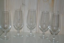 Glas-Bierglas/Champagnerflöte-Komplett-5 Stück-Höhe 18,3 cm