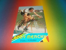 Eddy Merckx  Radsport  signed