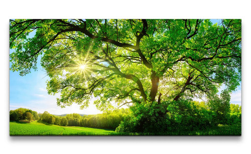 120x60cm leinwandbild großer - leinwandbild,