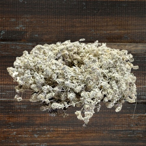 Wunderschöner naturkranz - wunderschöner,