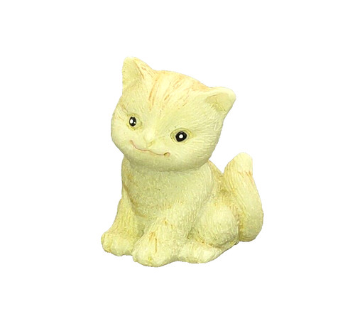Katze kätzchen - katze,