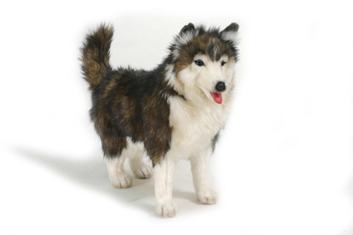Hansa siberian husky hund 4824 - siberian,