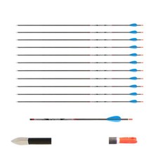 12 Carbonpfeile Avalon Tyro