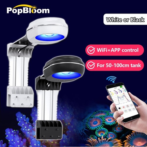 Popbloom rl60 wifi meerwasser - wifi,