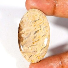 44,10Cts. Natürlicher Indonesien VERSTEINER Palmenachat Oval Cabochon Lose Ed...