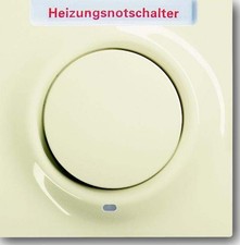 Busch-Jaeger Zentralscheibe