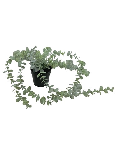 Ikea künstliche pflanze - ikea,