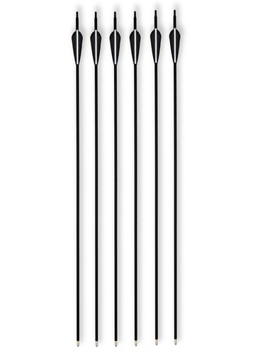 Carbon hybrid pfeile set - carbon-hybrid-pfeile, set,