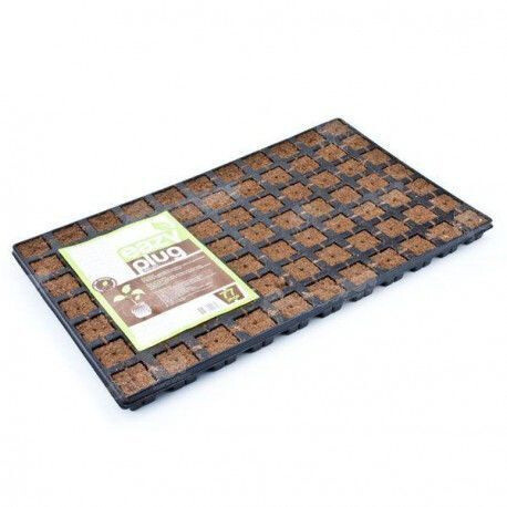 Eazy plug anzuchtwürfel tray - plug,