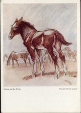 20002662 - Pferde, mit dem Mund gemalt,Dennoch-Verlag,sign. Cefischer Kind 1958