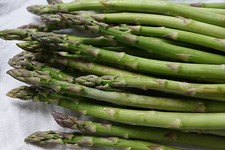 60 Samen Grünspargel Mary Washington Spargel ertragreiche Sorte Asparagus 
