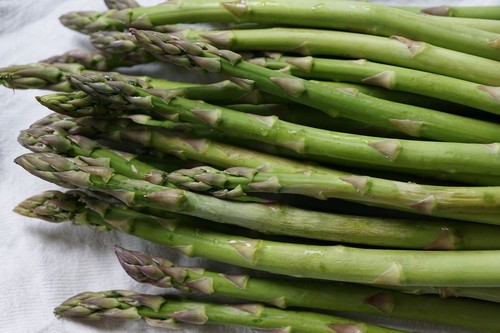 Samen grünspargel mary - grünspargel,