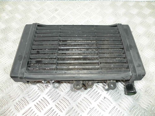 Heizkörper wasser mit grill - heizkörper,