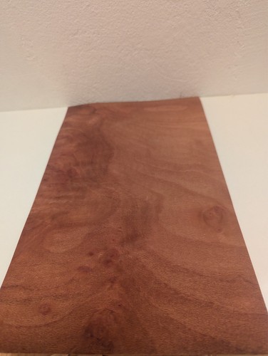 Blatt platane maser - 1, knolle