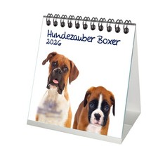 Hundezauber Boxer