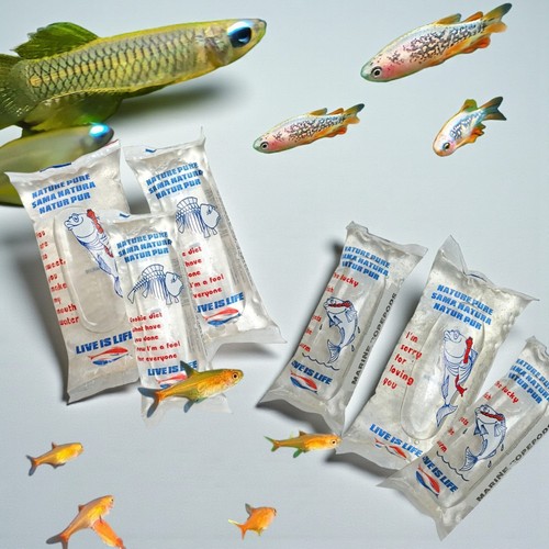 Nanofisch futterpaket - 6x,