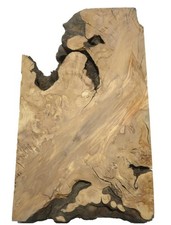 1x Oliven Wurzelholz Holz für