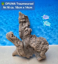 Opuwa traumwurzel - opuwa,