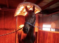 Pferdesolarium mit Kette &