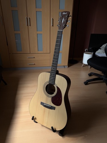 Cort earth gitarre inkl - earth, 60