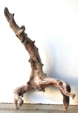 Treibholz Schwemmholz