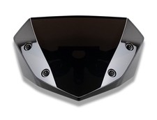 Genuine 2026 Kawasaki Z1100 SE