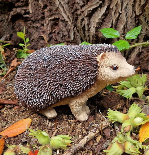 Igel groß lebensnah - ❀, cm