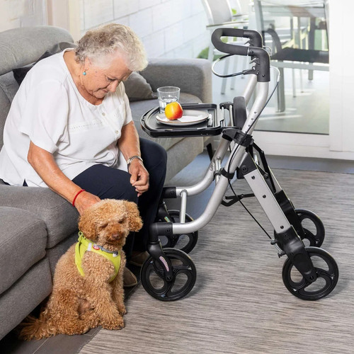 Carlett lett walk rollator - carlett,