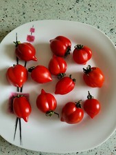 Tomatensamen piennolo del - tomatensamen,