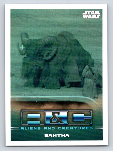 2021 topps star - topps,