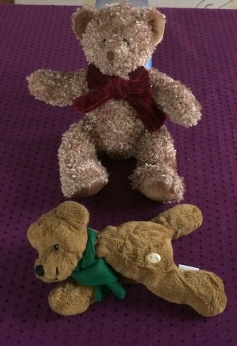 Teddys bären sunkid - -,