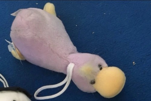 Nici kuscheltier plüschtier - nici,