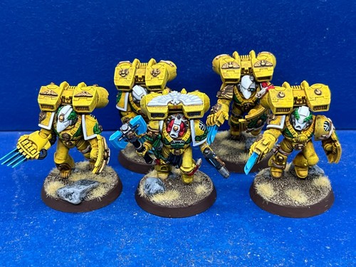 Vanguard veterans mit - veterans, jump