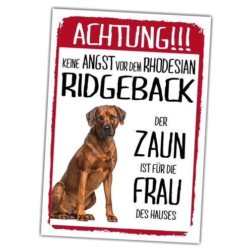 Rhodesian ridgeback dog - ridgeback,